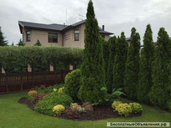 Ландшафтные работы