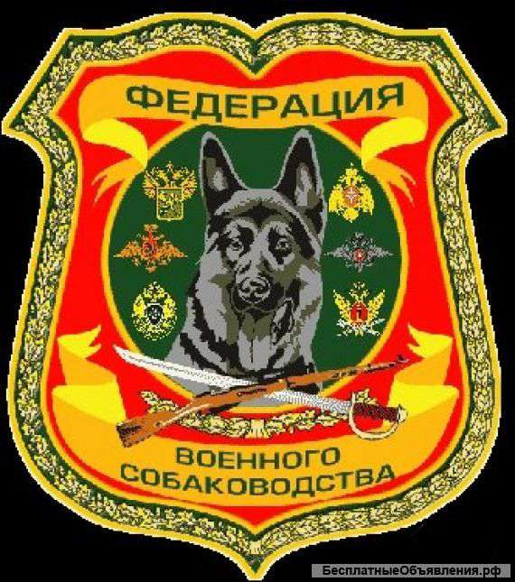 Уборка в центр На Васильевском