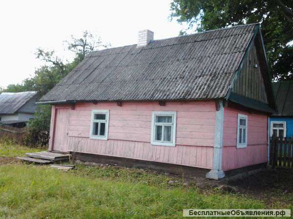 Домик в Беловежской пуще