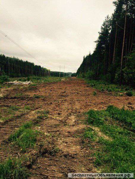 Вырубка деревьев и кустарников