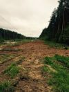 Вырубка деревьев и кустарников