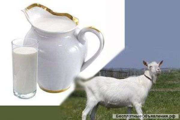 Козье молоко