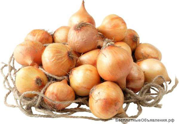 Сельхоз продукты на корню