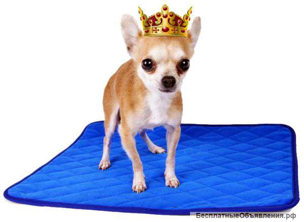 Многоразовые пеленки для собак и других животных