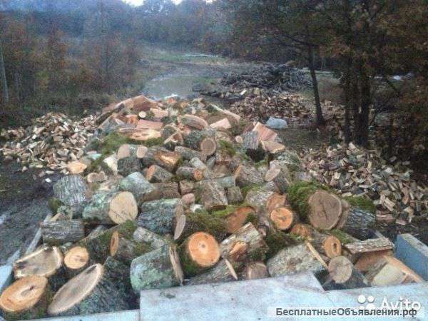 Дрова дуб, береза, ясень, акация