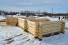 Дома и бани из башкирского дуба и липы