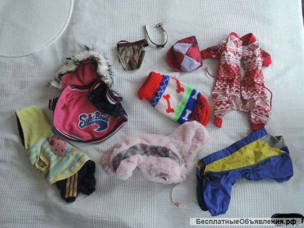 Пакет вещей для маленьких собак