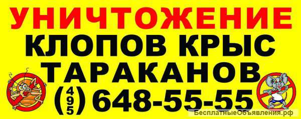 Клопы фото , укусы клопов