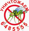 Клопы фото , укусы клопов фото, клопы фото , укусы клопов фото
