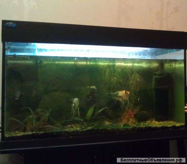 Аквариум