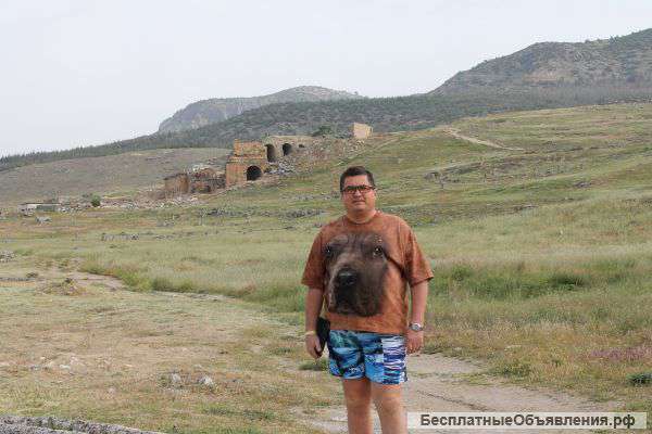 Покупаю на постоянной основе канистры, ящики, пузырьки полигонные