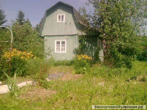 Дача, летний домик 20кв.м. на участке 6 соток.