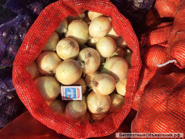 Лук репчатый оптом от 20 тонн