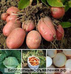 Овощи борщевого набора