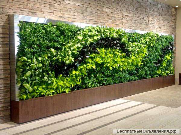Фитостены, вертикальные сады