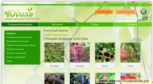 Создание и сопровождение сайтов