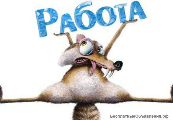 Администратор