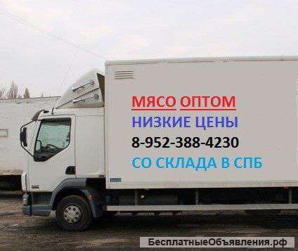 Свинина и говядина заморозка