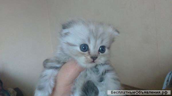 Комочки счастья