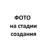 Защита коттеджа онлайн Москва