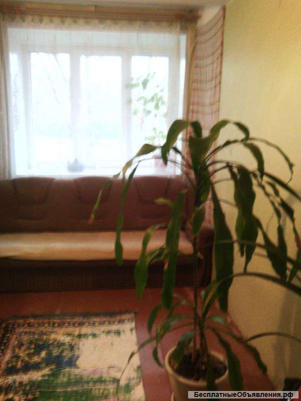 Сдаю от хозяина комнату