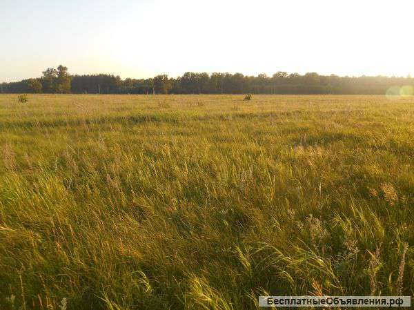 Участок в д. Суук-Чишмы