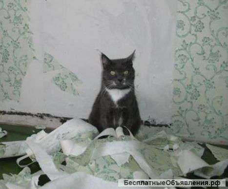 Демонтаж домов, бань из дерева, кирпича и т. д