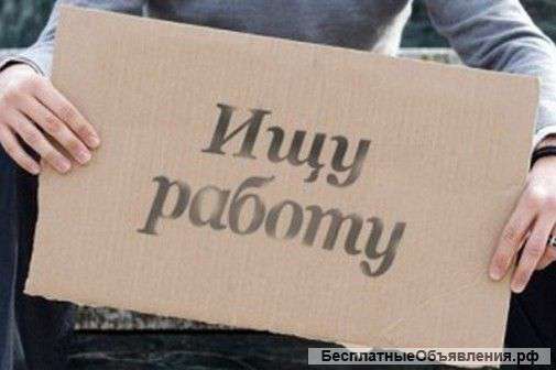 Ищу работу