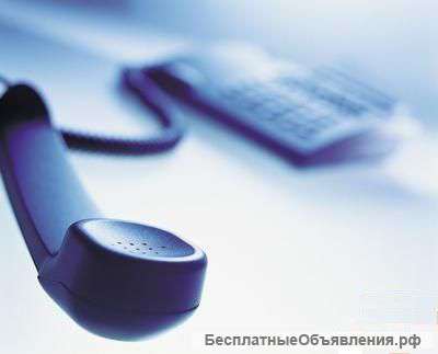 Регистрация ИП бесплатно до 31 августа 2015