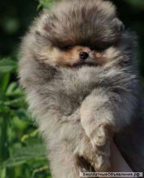 Крошка мальчик и девочка