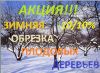 Профессиональные услуги по обрезке плодового сада и кустарников