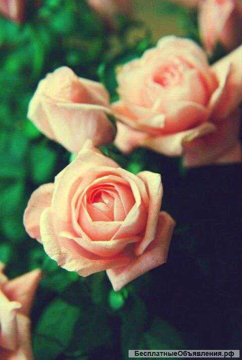 Обмен дом на квартиру