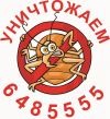 Уничтожение клопов, их дезинсекция, борьба с клопами