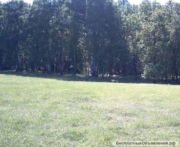 Участок Елкибаево-Карпово