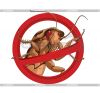 Уничтожение клопов и тараканров двойным методом 100% гарантия