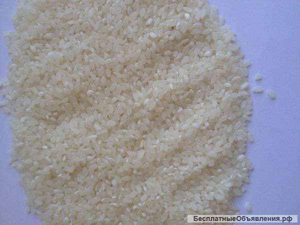 Коммерческое предложение