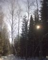 Дёшево два земельных участка