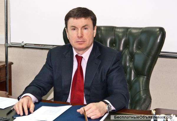 Заместитель финансвого директора
