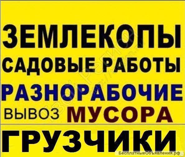 Услуги разнорабочих в Краснодаре