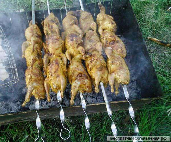 Мясо перепелов