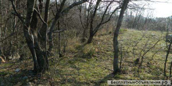 30 соток Гаспра