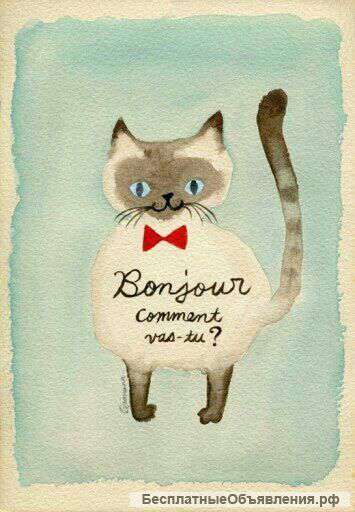 Французский Интенсив в Котах У Камина