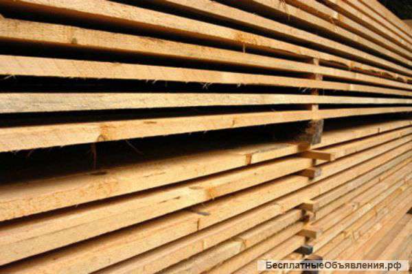 Лес 1 сорт (сосна, ель) зеленка