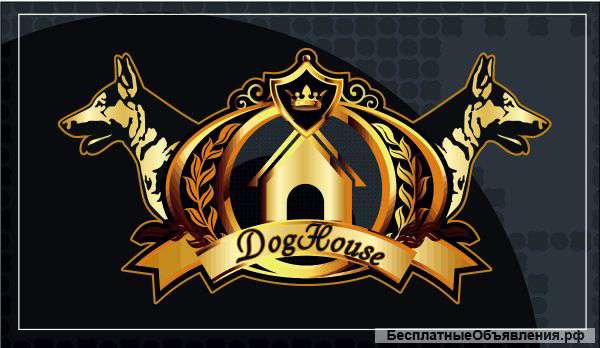 Будки, манежи, вольеры, мебель для собак, любых форм и размеров