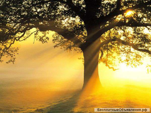 Требуется бригада каменщиков