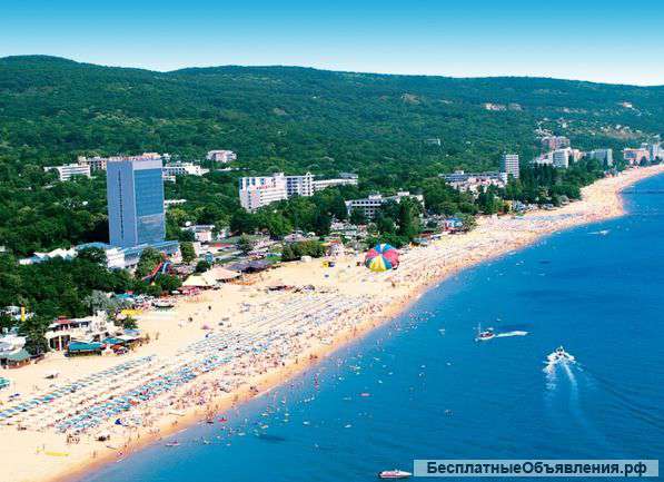 Суперпредложение до 31 августа