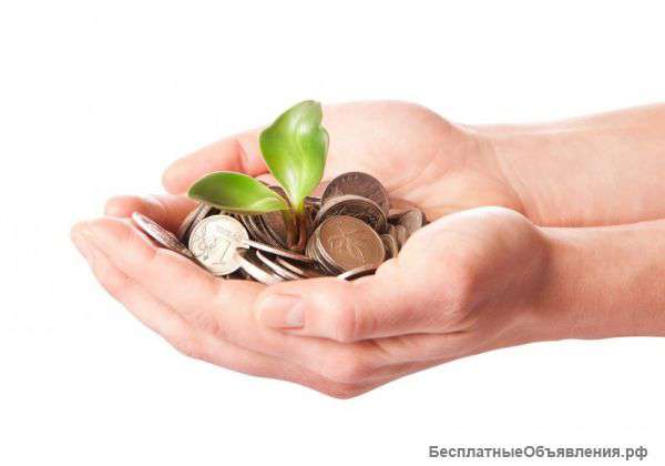 Ищу инвестора