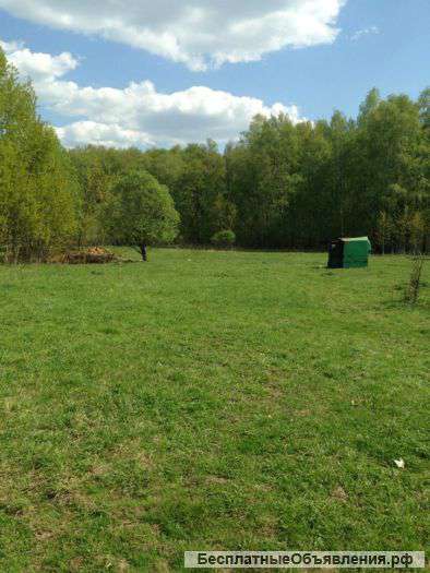 Варшавское шоссе 38 км от МКАД, деревня Лукошкино