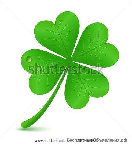 Бухгалтерское сопровождение