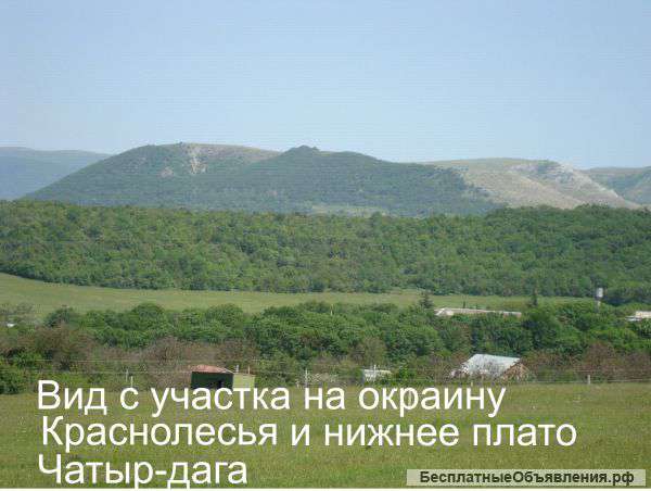 Земельный участок